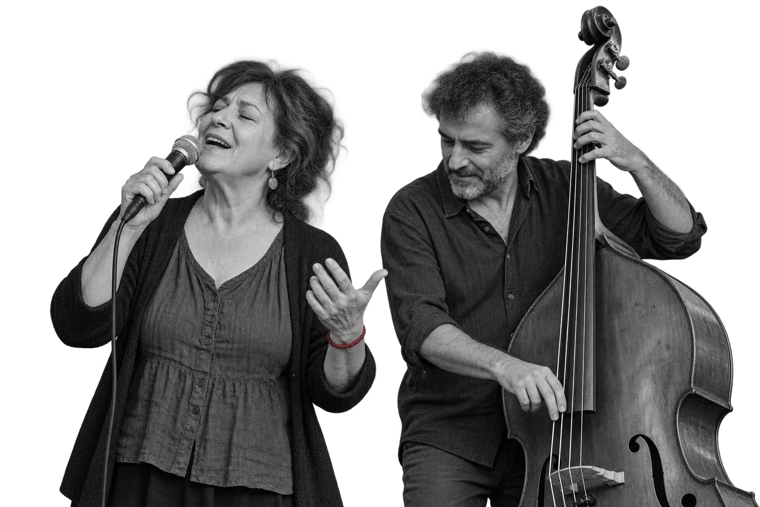 Collage illustrativo musicale per Collettivo Gran Varietà